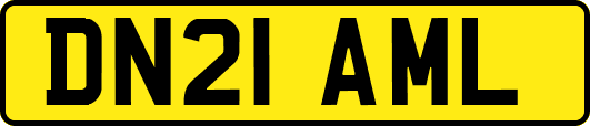 DN21AML
