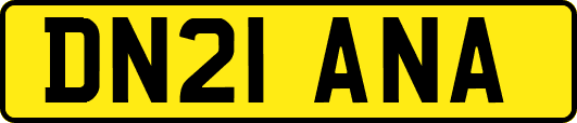 DN21ANA