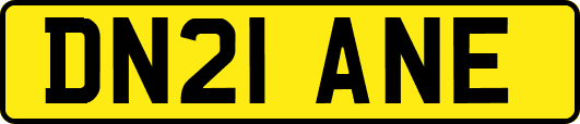 DN21ANE
