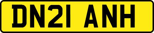 DN21ANH