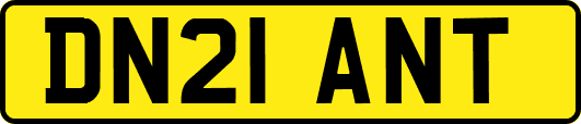 DN21ANT