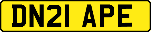 DN21APE