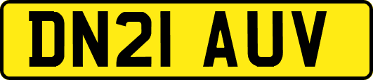 DN21AUV