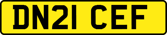 DN21CEF
