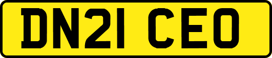 DN21CEO