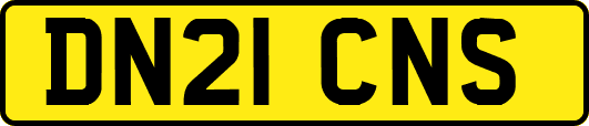 DN21CNS