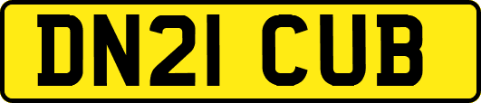 DN21CUB