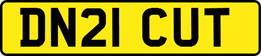 DN21CUT