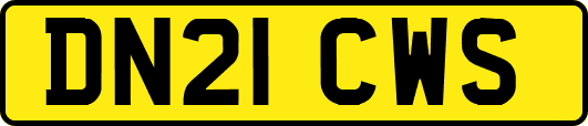 DN21CWS