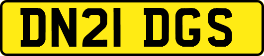 DN21DGS
