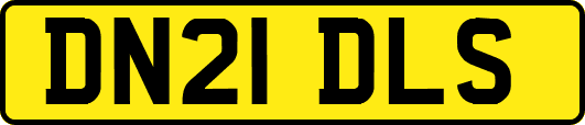 DN21DLS