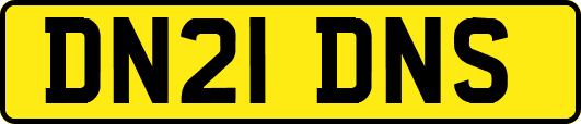 DN21DNS
