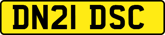 DN21DSC