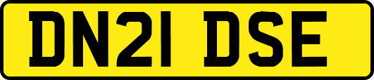 DN21DSE