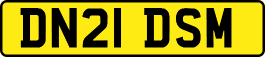 DN21DSM
