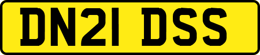 DN21DSS