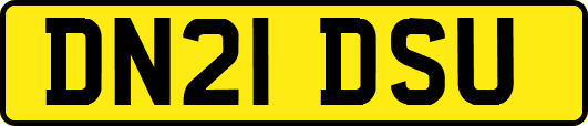 DN21DSU