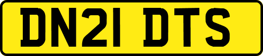 DN21DTS