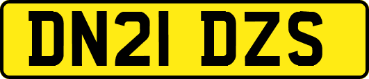 DN21DZS