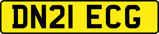 DN21ECG