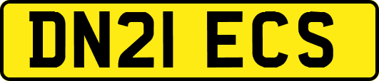 DN21ECS