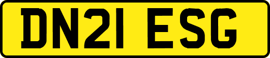 DN21ESG