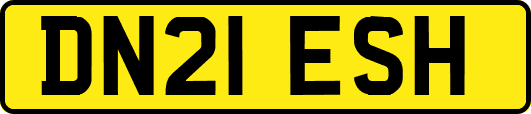 DN21ESH