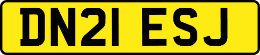 DN21ESJ