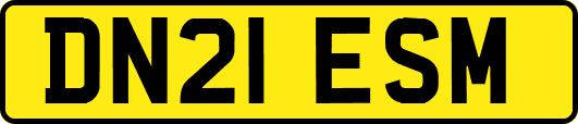 DN21ESM