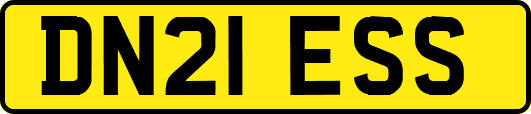 DN21ESS