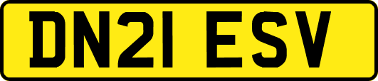 DN21ESV