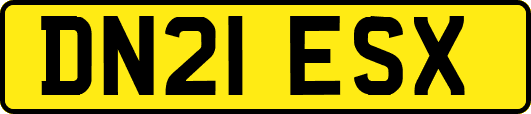 DN21ESX