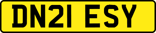 DN21ESY