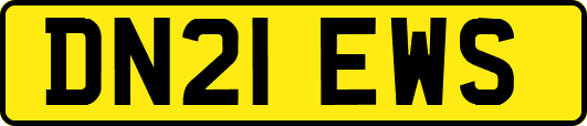 DN21EWS