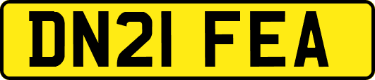 DN21FEA