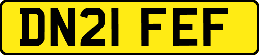 DN21FEF