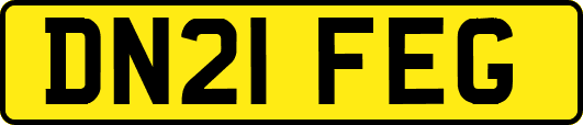 DN21FEG