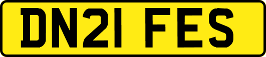 DN21FES