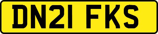 DN21FKS