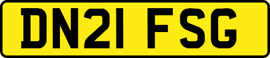 DN21FSG