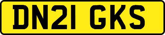 DN21GKS