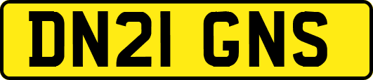 DN21GNS