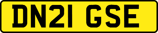 DN21GSE