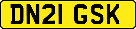 DN21GSK
