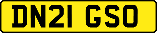 DN21GSO
