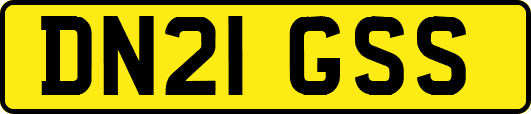 DN21GSS