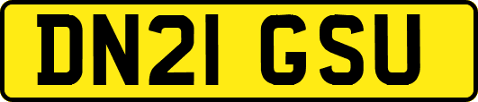 DN21GSU