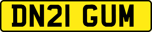 DN21GUM