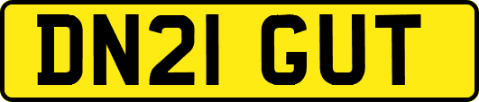 DN21GUT