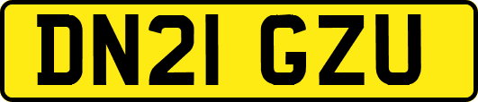 DN21GZU